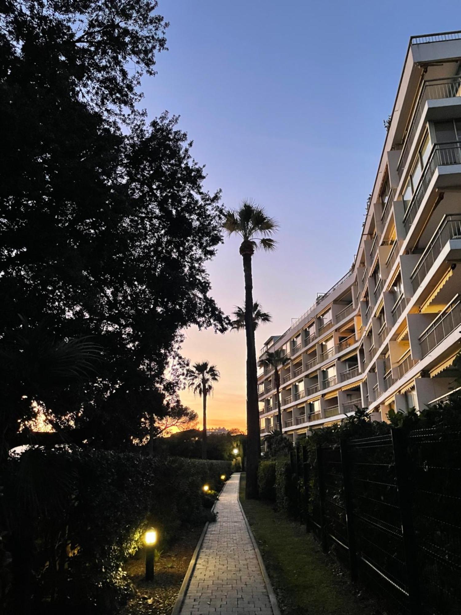 C037-Nice Studio With Garden And Parking - Near Beach Cannes Zewnętrze zdjęcie